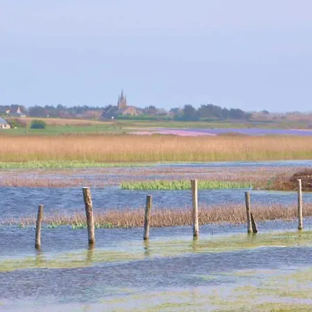 Le Floride B Folco De Baronchelli Apartman Le Grau-du-Roi
